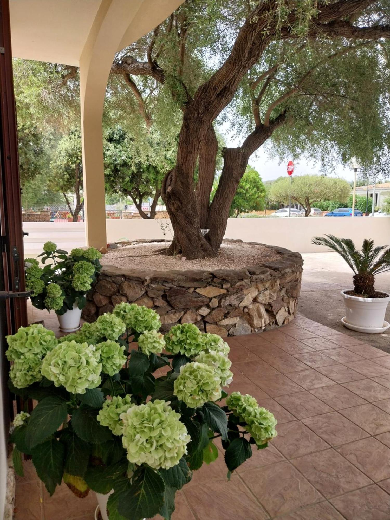 לינה וארוחת בוקר סאן תאודורו Mivida "Le Stanze Di Ada" מראה חיצוני תמונה