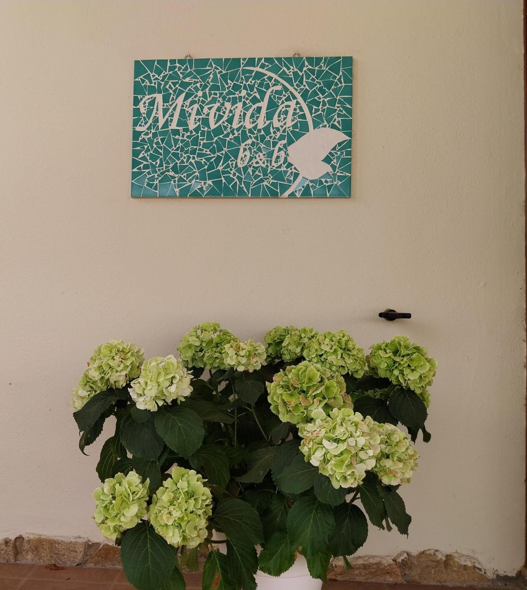 לינה וארוחת בוקר סאן תאודורו Mivida "Le Stanze Di Ada" מראה חיצוני תמונה